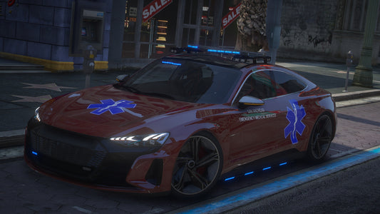 Audi e-tron GT EMS | Debadged | Template