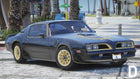 Pontiac Firebird Trans Am Y82 1977 | Debadged
