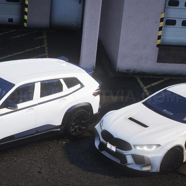 BMW Bundle | 40 Vehicles | Debadged