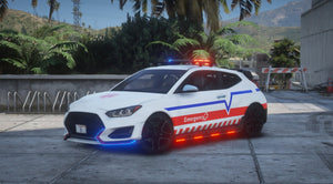 EMS Hyundai Veloster N 2018 | Debadged | Template