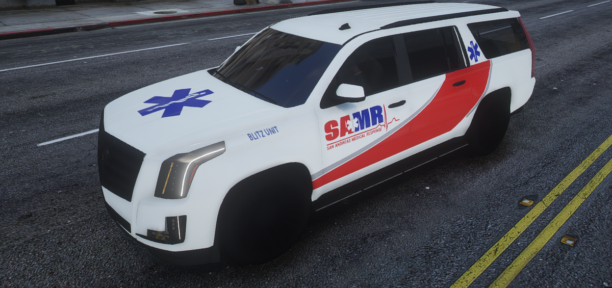 SAMR Livery