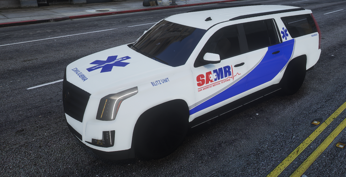 SAMR Livery