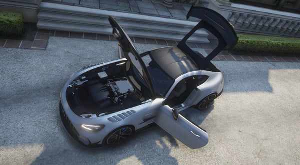 Mercedes AMG GT Black Series | Debadged