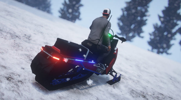 Polaris 800 Pro Police EMS