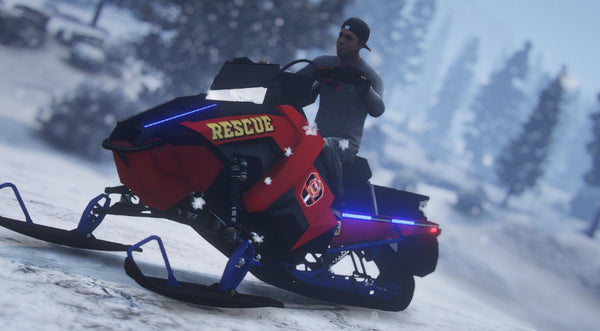 Polaris 800 Pro Police EMS